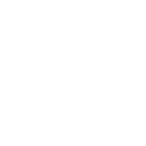 segmentoIV-b